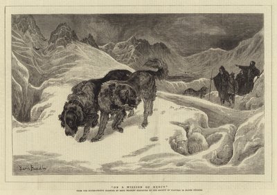 في مهمة الرحمة بواسطة باسل برادلي